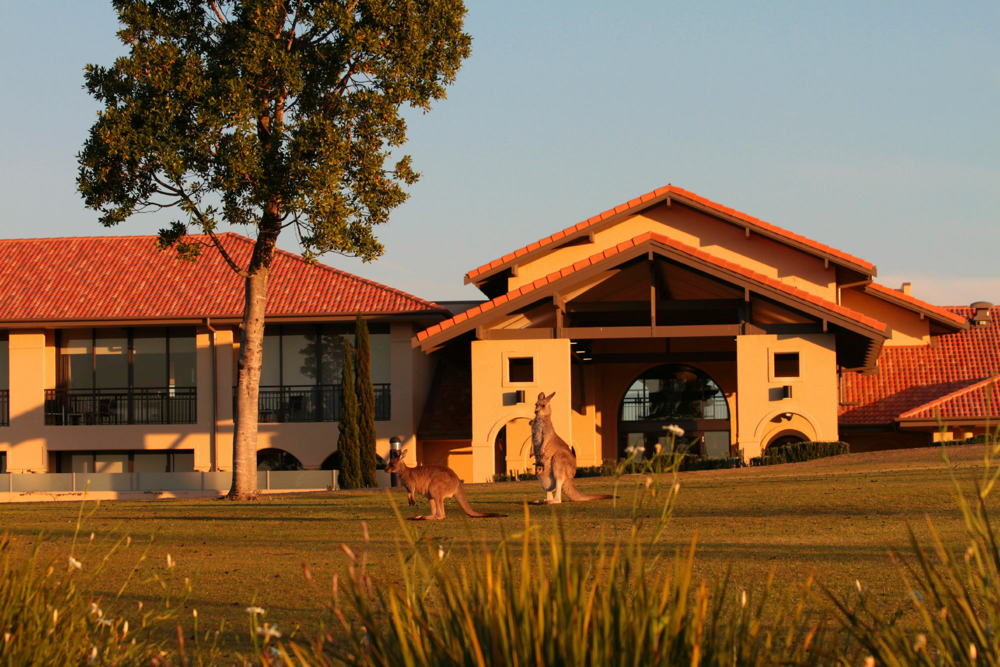 Chateau Elan At The Vintage Поколбін Екстер'єр фото Clubhouse at the Sanctuary Golf Resort